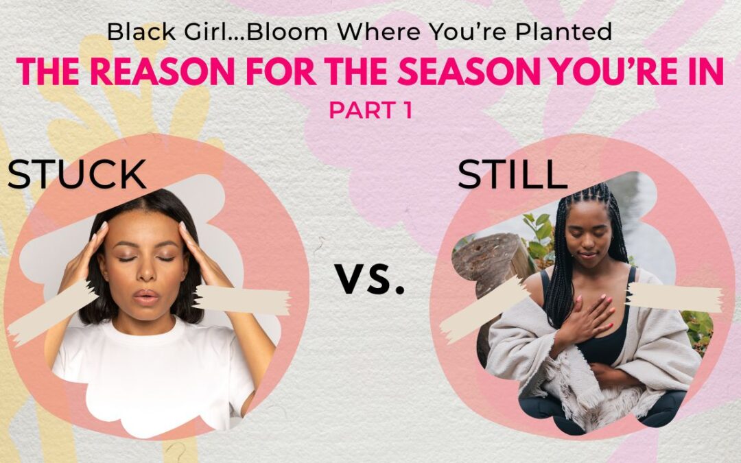 The Reason for the Season You’re In | Christian Motivation for Women Feeling Stuck
